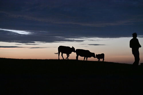 文化中國行 傳統(tǒng)村落人文影像志丨堯告村 云端古寨寄鄉(xiāng)愁
